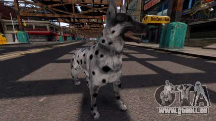 Chien pour GTA 4