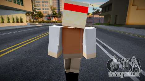 Dnmolc1 Minecraft Ped pour GTA San Andreas