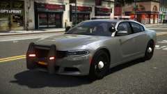 Dodge Charger Special Patrol