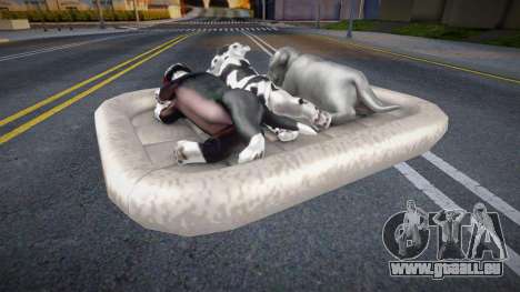 Lit pour chien pour GTA San Andreas