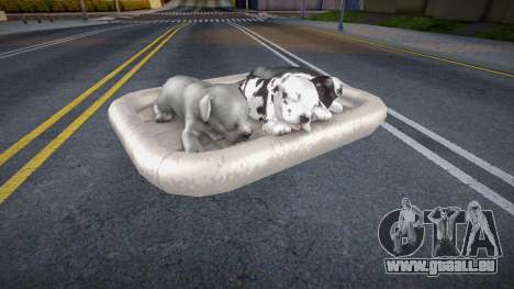 Hundebett für GTA San Andreas