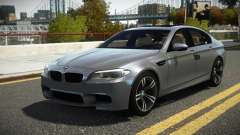 BMW M5 F10 L-Edition