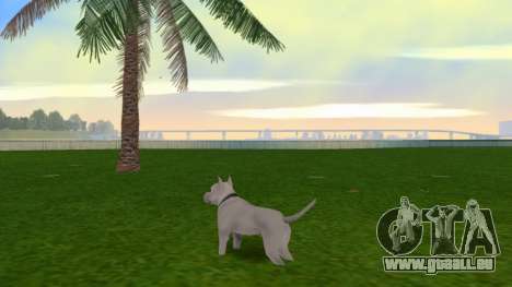 Pittbul Dog Mod pour GTA Vice City