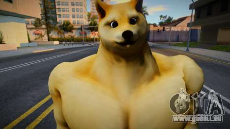 Buff Doge (Perro Doge musculoso) für GTA San Andreas