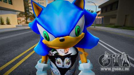 Sonic 29 pour GTA San Andreas