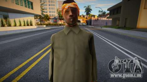 Beta Grove [v3] pour GTA San Andreas