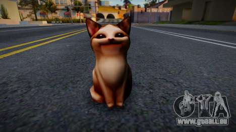 POP CAT für GTA San Andreas