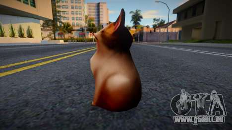 POP CAT für GTA San Andreas