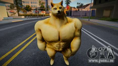 Buff Doge (Perro Doge musculoso) pour GTA San Andreas