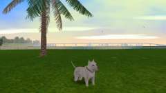 Pittbul Dog Mod pour GTA Vice City