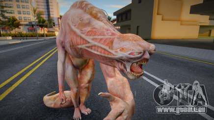 Parasit G aus Resident evil: The Darkside chronic für GTA San Andreas
