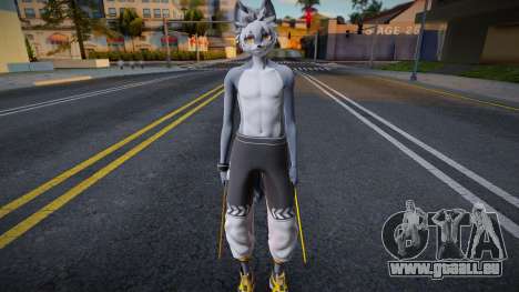 Cute Furry Wolf pour GTA San Andreas