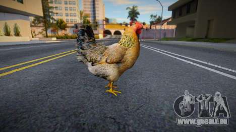 Chicken v6 pour GTA San Andreas