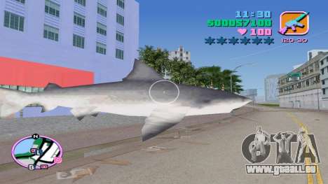 Requin d’apparition pour GTA Vice City