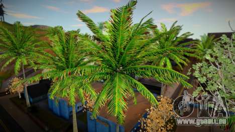 Hochwertige Bäume und Palmen für GTA San Andreas