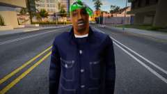 Ballas (Grove Outfit) v2 pour GTA San Andreas