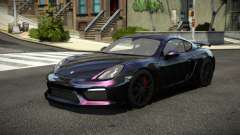 Porsche Cayman GT Z-Tune S4 für GTA 4