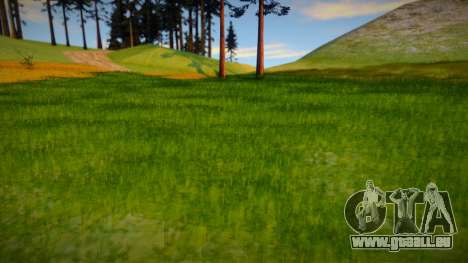 Grande et belle herbe pour GTA San Andreas