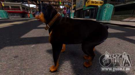 Dog Chop GTA V für GTA 4