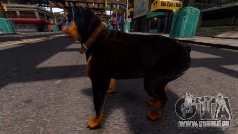 Dog Chop GTA V pour GTA 4