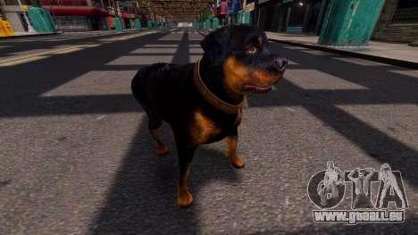 Dog Chop GTA V für GTA 4