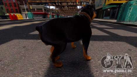 Dog Chop GTA V pour GTA 4