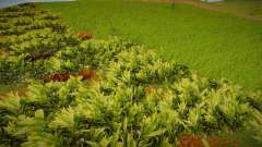 Grass from Sniper Ghost Warrior pour GTA San Andreas