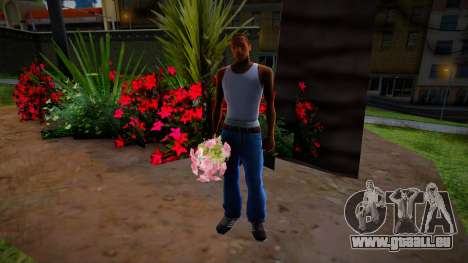 Pflücken Sie Blumen in Glen Park für GTA San Andreas