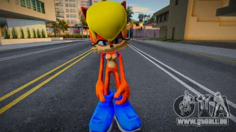 Sonic Skin 83 pour GTA San Andreas
