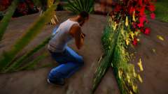Cueillez des fleurs à Glen Park pour GTA San Andreas