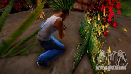 Cueillez des fleurs à Glen Park pour GTA San Andreas