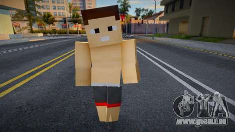 Minecraft Ped Hmycm pour GTA San Andreas