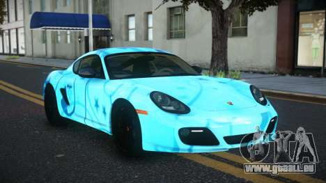 Porsche Cayman MC-R S14 für GTA 4