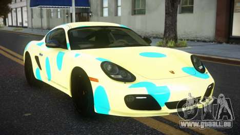 Porsche Cayman MC-R S4 für GTA 4