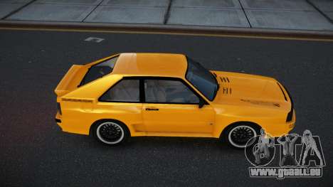 Audi Sport Quattro 83th pour GTA 4