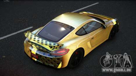 Porsche Cayman MSR S5 pour GTA 4