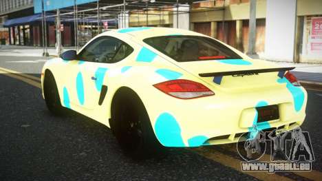 Porsche Cayman MC-R S4 für GTA 4