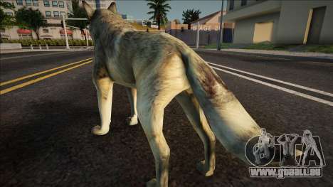 Wolf für GTA San Andreas