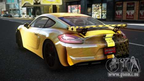 Porsche Cayman MSR S5 für GTA 4