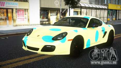 Porsche Cayman MC-R S4 für GTA 4