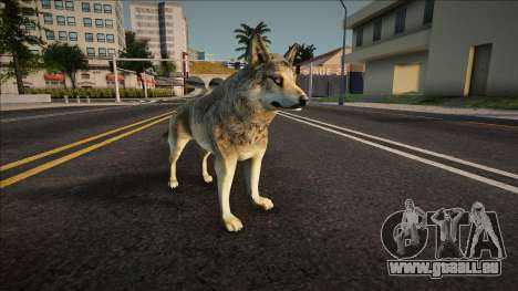 Loup pour GTA San Andreas