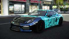 Porsche Cayman MSR S10 für GTA 4