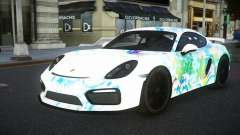 Porsche Cayman RS-Z S7