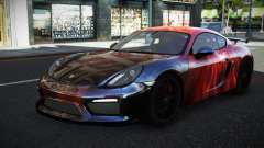 Porsche Cayman MSR S12 für GTA 4