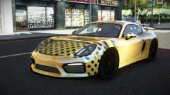 Porsche Cayman MSR S5 für GTA 4