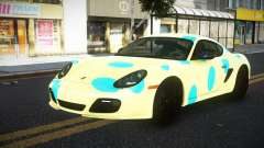 Porsche Cayman MC-R S4 für GTA 4