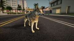 Loup pour GTA San Andreas