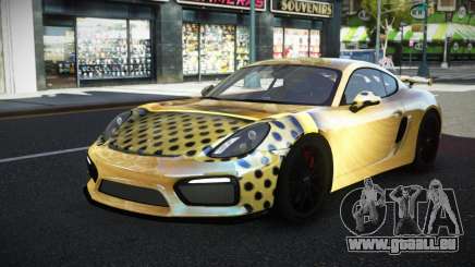 Porsche Cayman MSR S5 für GTA 4