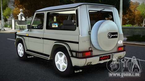 Mercedes-Benz G500 EB für GTA 4