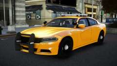 Dodge Charger CHP